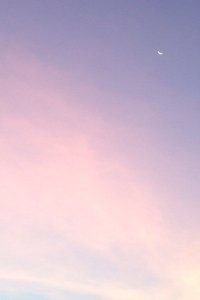 -荷兰国家队主场胜出，欧国联杯前景一片光明