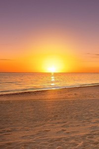 波兰主帅指导国家队参加洲际比赛：从战术革新到荣耀冲刺