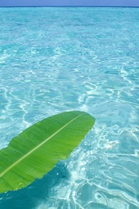 桑普对阵千年米兰：意大利局势白热化，胜出者傲视群雄