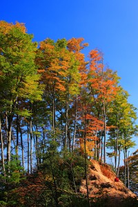 哥斯达黎加击败牙买加，一步晋级