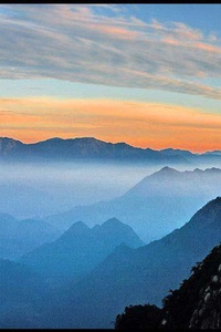 荷兰游泳队实力突出，斩获多枚奖牌