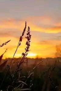 豪情万丈篮球梦想助力成功征程