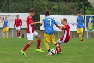 开云官网-基层足球能否成为未来的希望，足球基层教练现状  第2张